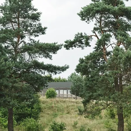 Hébergement de vacances W Lesie Gdansk 35 Km Bozepole Krolewskie